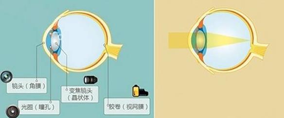 怎么佩戴老花鏡？驗光 品牌 質(zhì)量 保養一個(gè)都不能少