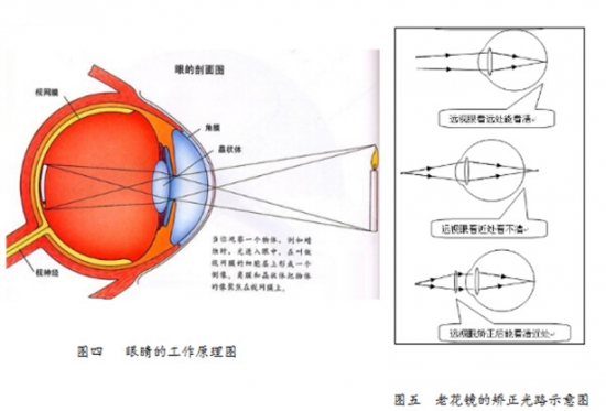 美麗島眼鏡：老花鏡不可隨意亂帶，需要在專(zhuān)業(yè)驗光后科學(xué)配制